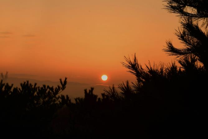 성남시 새해 첫날 금토산 판교 마당바위서 해맞이 행사  기사 이미지
